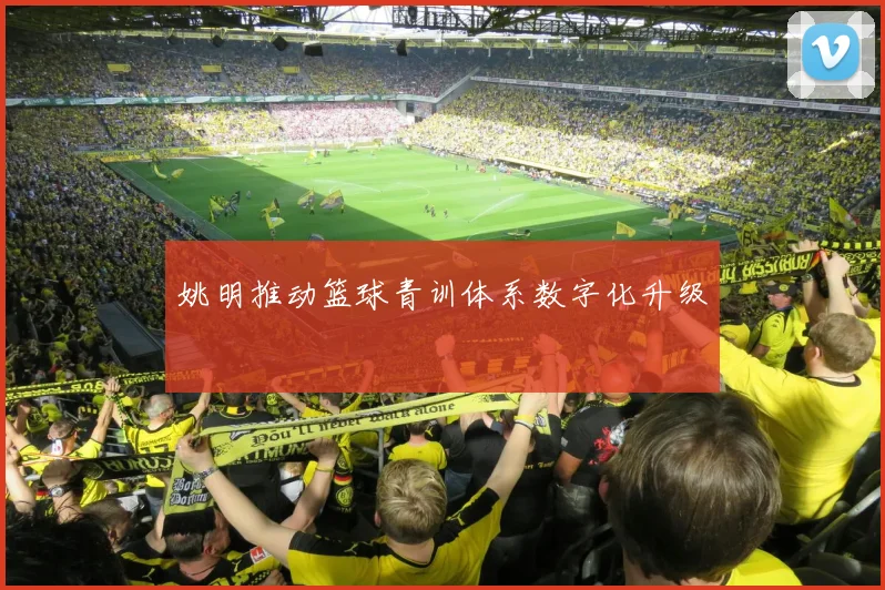 姚明推动篮球青训体系数字化升级