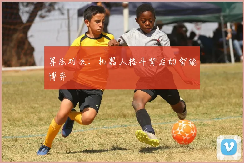 算法对决：机器人格斗背后的智能博弈