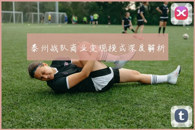 泰州战队商业变现模式深度解析