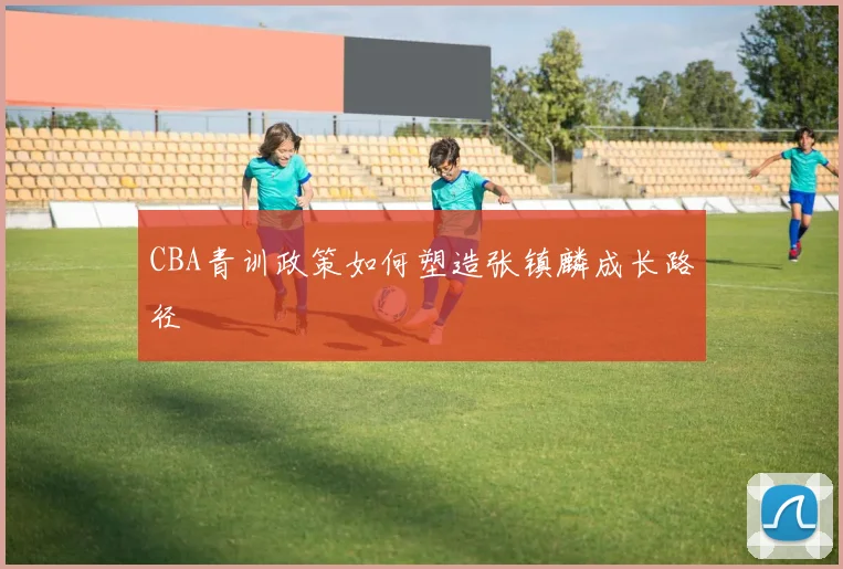 CBA青训政策如何塑造张镇麟成长路径