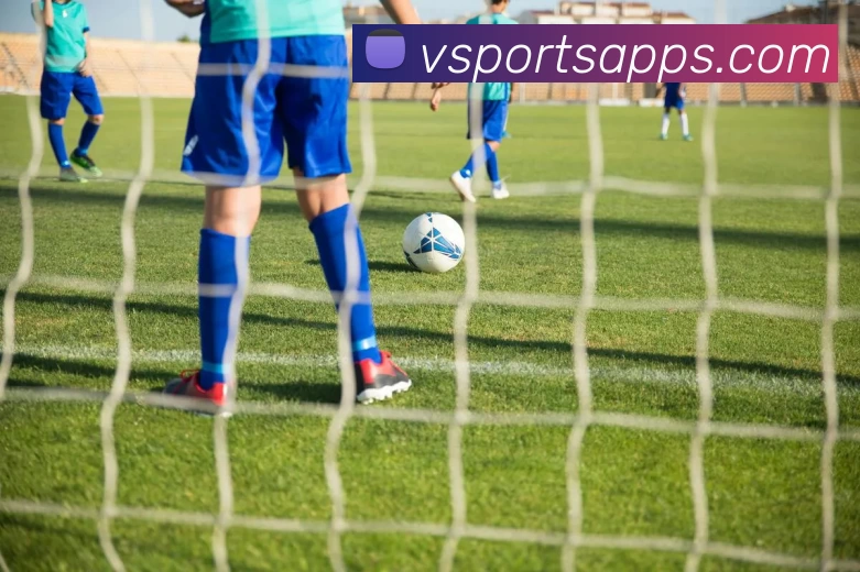 v体育官网服务体系